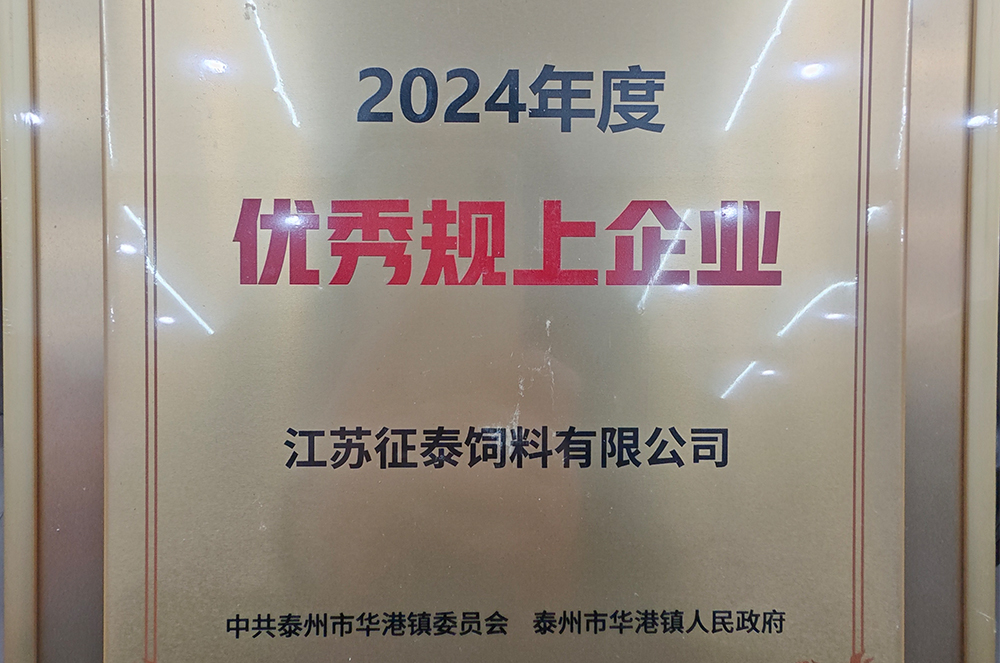 2024年度優秀規上企業